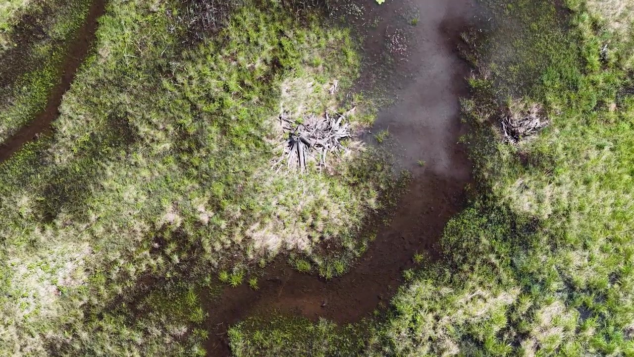 La cámara vuela sobre bosques, crestas rocosas y aguas interiores a través del norte de Ontario en un amplio paisaje cinematográfico