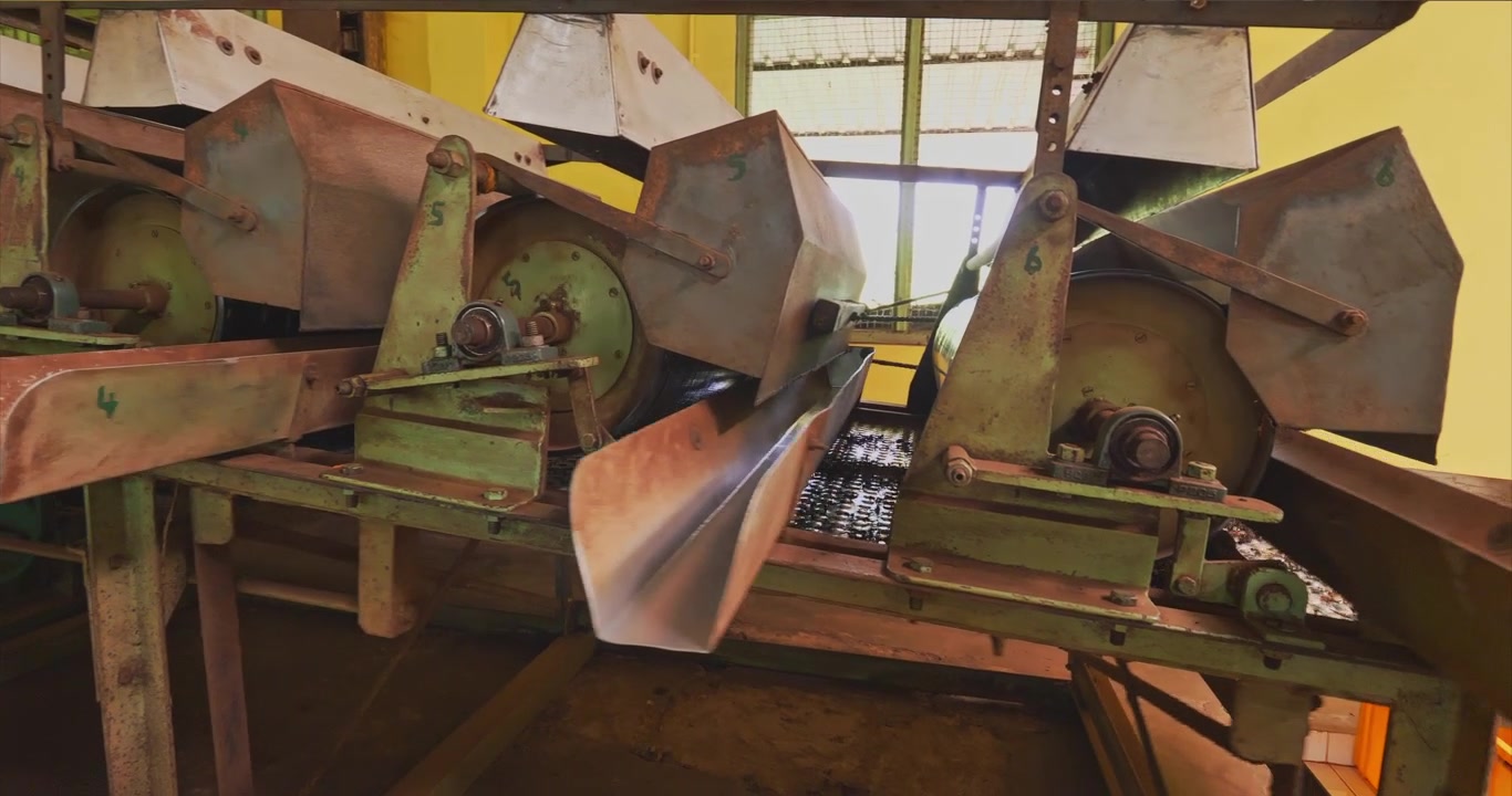 Máquinas de processamento de chá numeradas estendem-se em uma fileira enquanto a câmera se move ao longo de funis de metal, tambores circulares, componentes de acionamento e longas calhas de descarga dentro da sala de produção em um movimento panorâmico lento