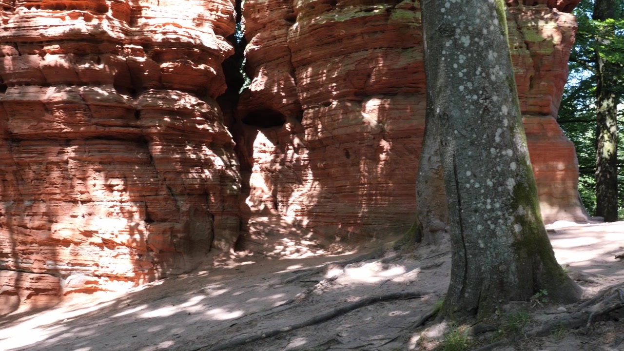 Lenta panoramica attraverso le scogliere di arenaria stratificata di Altschlossfelsen vicino a Eppenbrunn, Renania-Palatinato, Germania