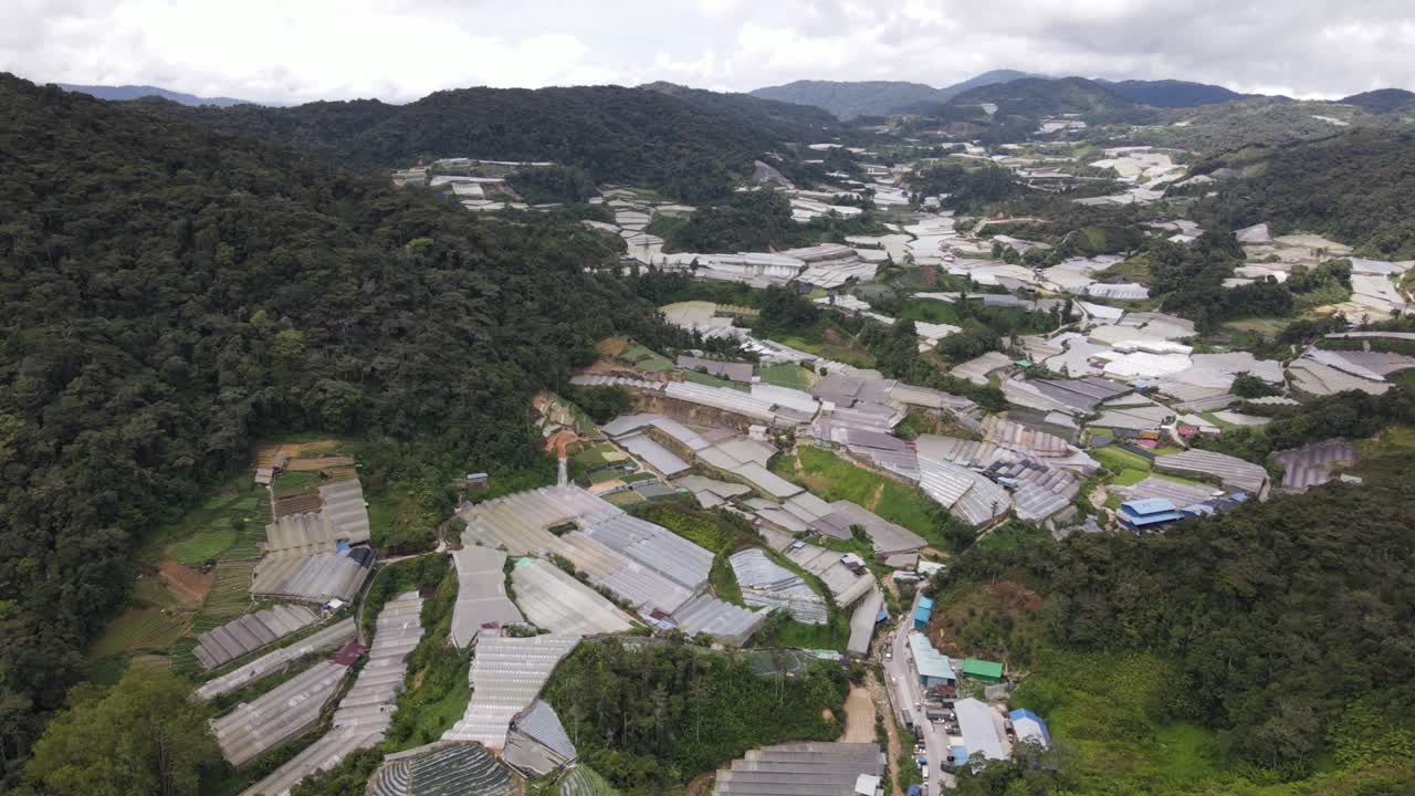 말레이시아의 카메론 하이랜드 지역 내의 브린창 지역의 일반 풍경
