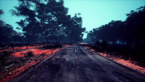 camino sinuoso que atraviesa la sabana
