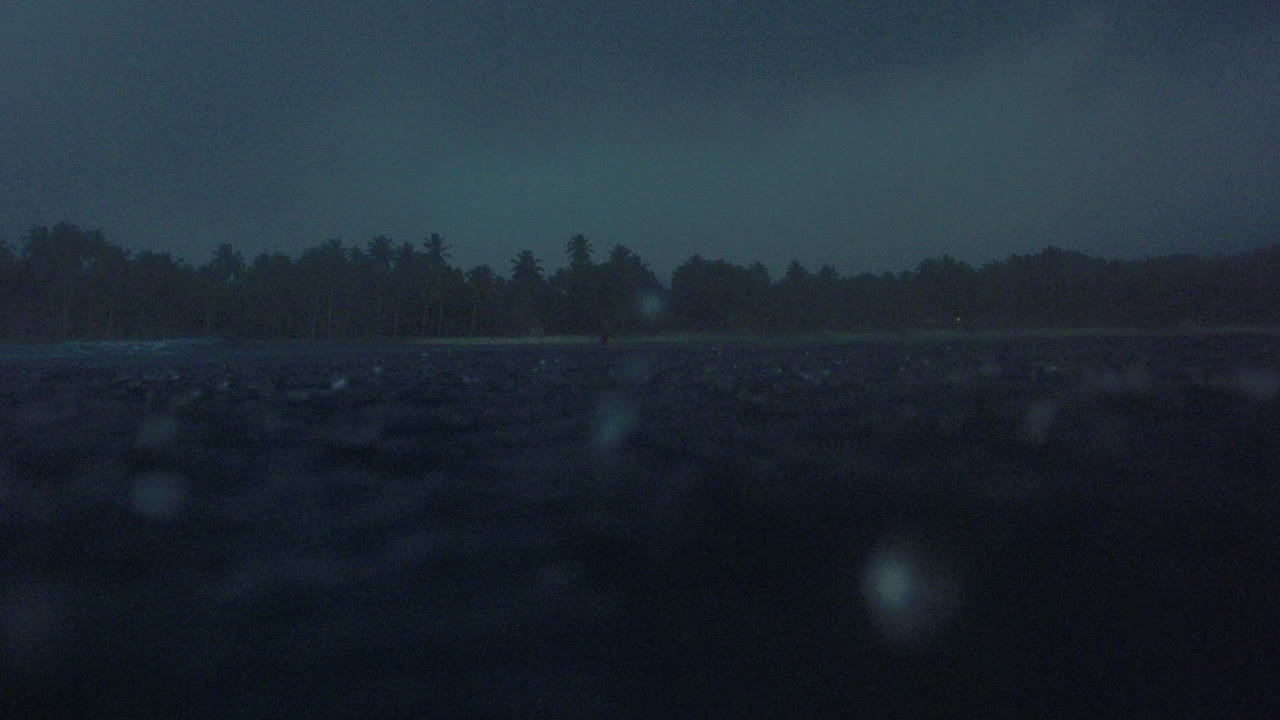 비방울은 열대 우림 해안선과 함께 바다 물 표면을 가로질러 반사됩니다.