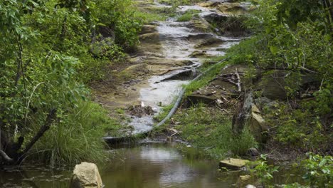 Agua-De-Lluvia-Que-Fluye-A-Través-De-Las-Rocas-En-El-Sendero-Húmedo-En-Fiji---Toma-De-Primer-Plano