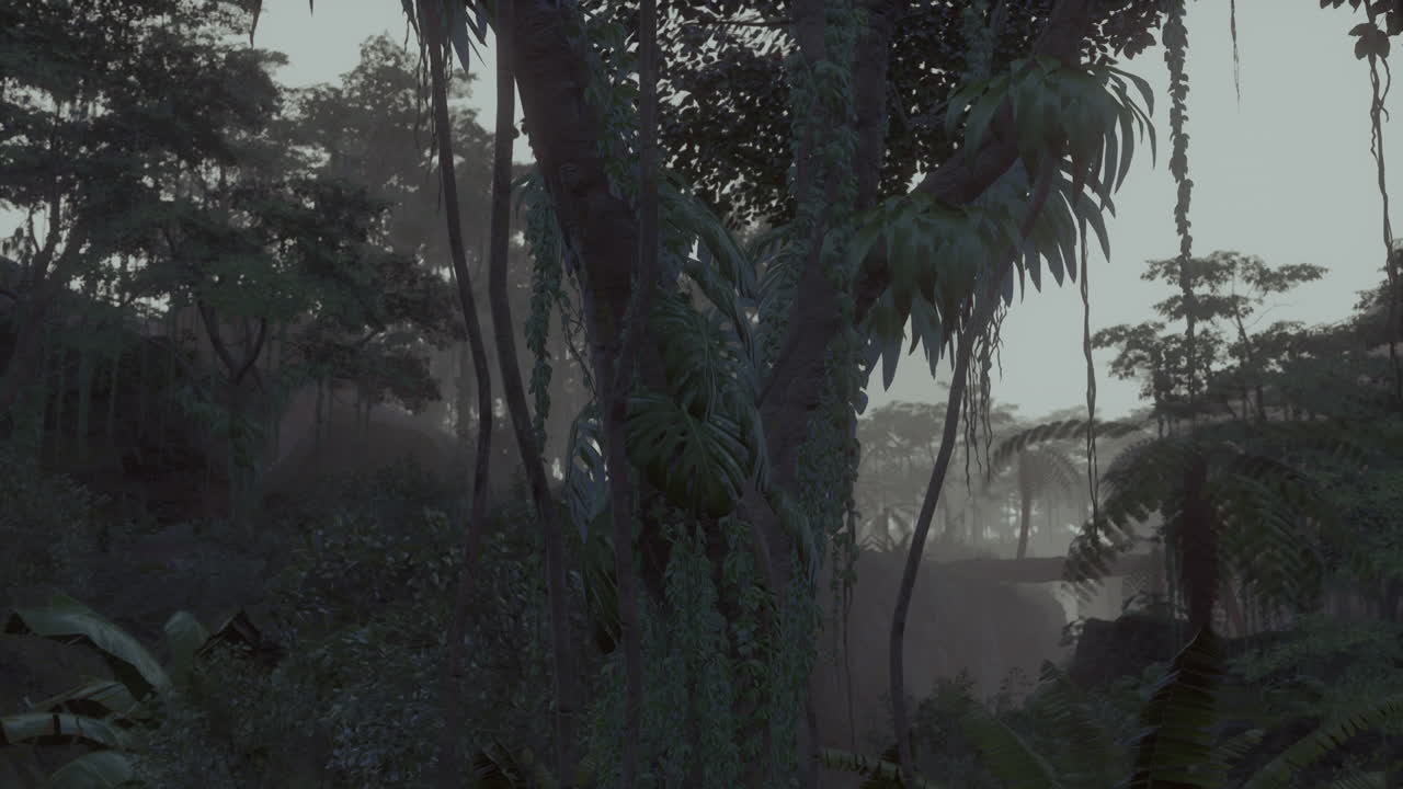 profunda jungla tropical en la oscuridad