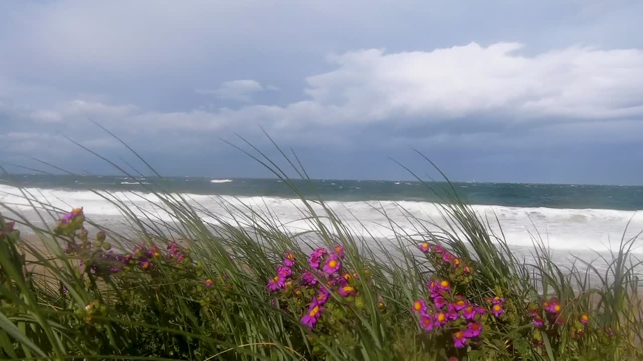 stormy coastline during high winds