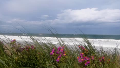 stormy coastline during high winds