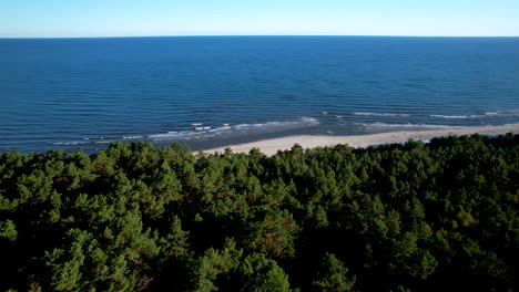 Vuelo-Aéreo-Sobre-Un-Denso-Bosque-Hacia-La-Playa-De-Arena