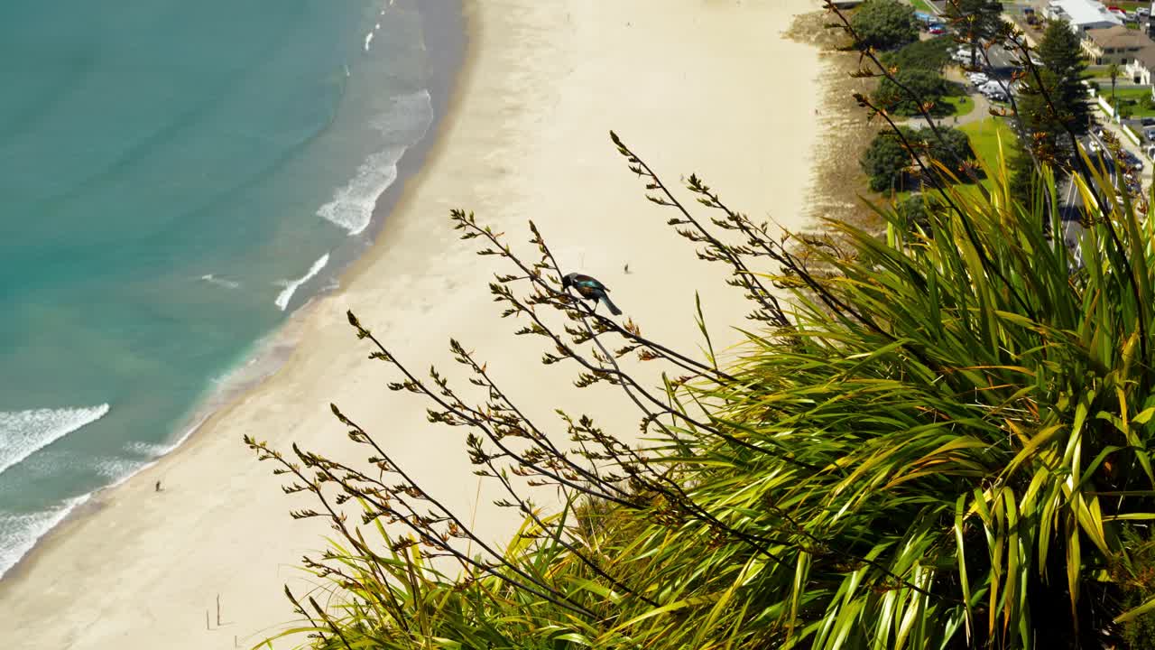 Bird on Branch Overlooking a Beautiful Beach