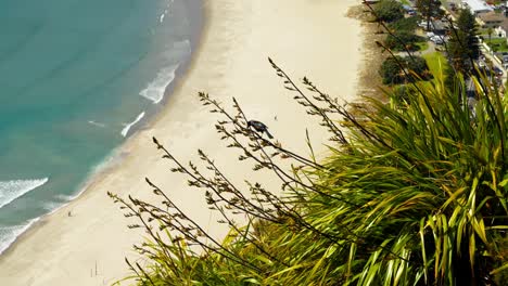 bird on branch overlooking a beautiful beach