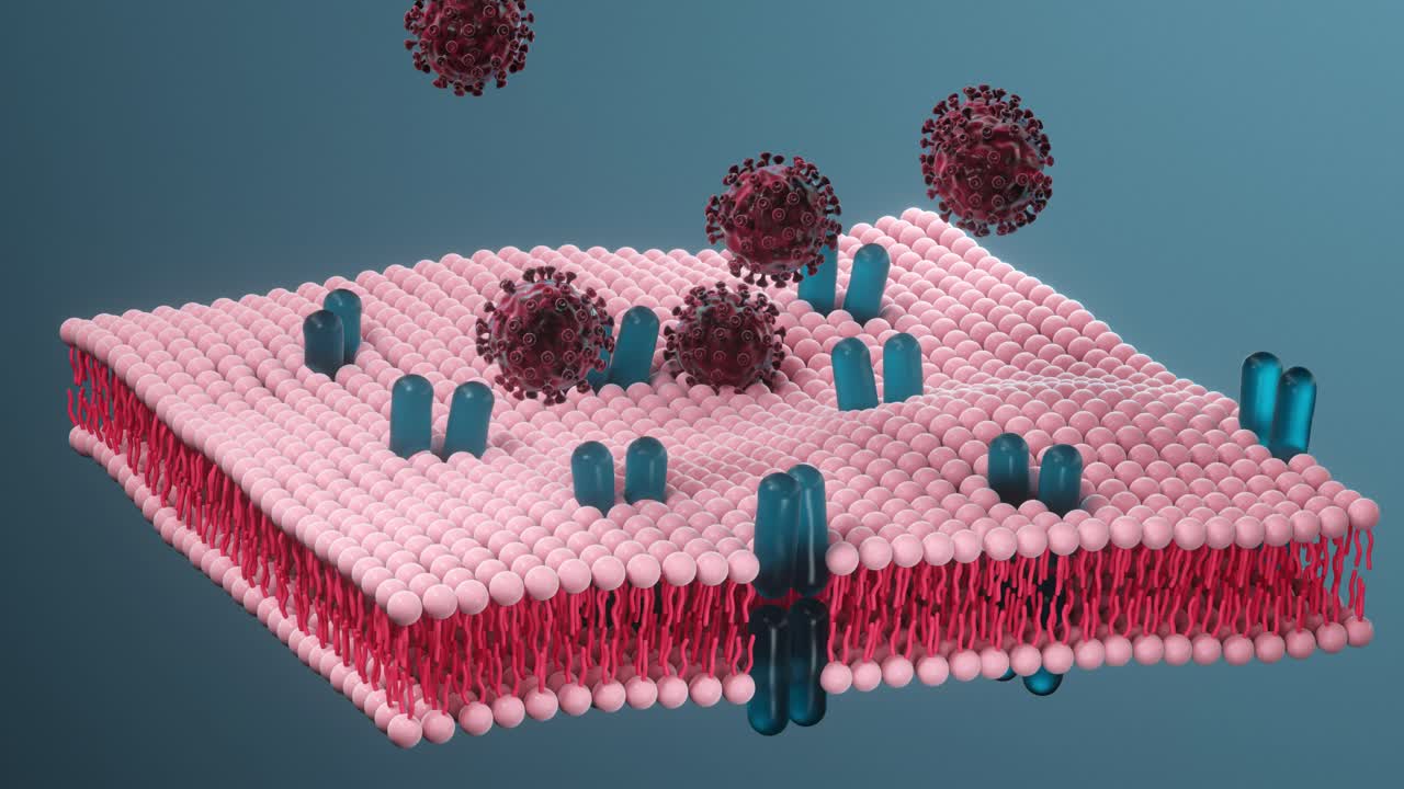 세포막과 코로나바이러스, 의료 개념, 3d 렌더링