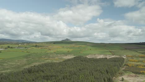 Vista-Aérea-Bosque-Denso-Y-Prado-Con-Pico-De-Montaña-Sugarloaf-En-Wicklow,-Irlanda