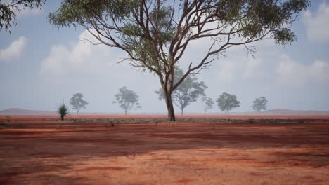 barren african savanna landscape with solitary tree under a cloudy sky