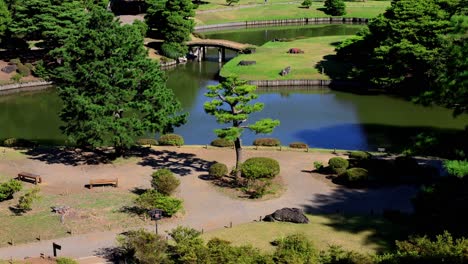 the beautiful view in rikugien gardens