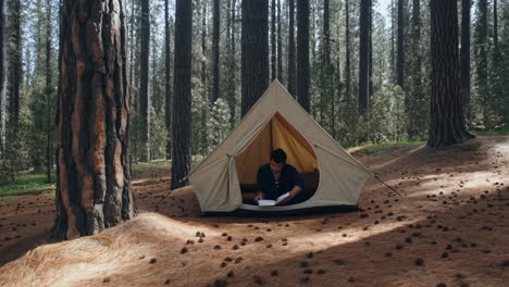 man reading in tent in forest