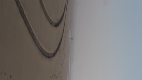 a flock of birds flies past the silhouette of a man in the fog of a sandy beach