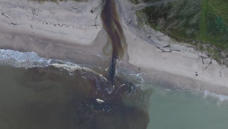 Vista-Aérea-De-Un-Pequeño-Río-Oscuro-Que-Fluye-Hacia-El-Mar-Báltico-Cerca-De-Liepaja,-Playa-De-Arena-Blanca,-Día-Nublado-De-Otoño,-Amplio-Disparo-De-Drones-De-Ojo-De-Pájaro-Descendente