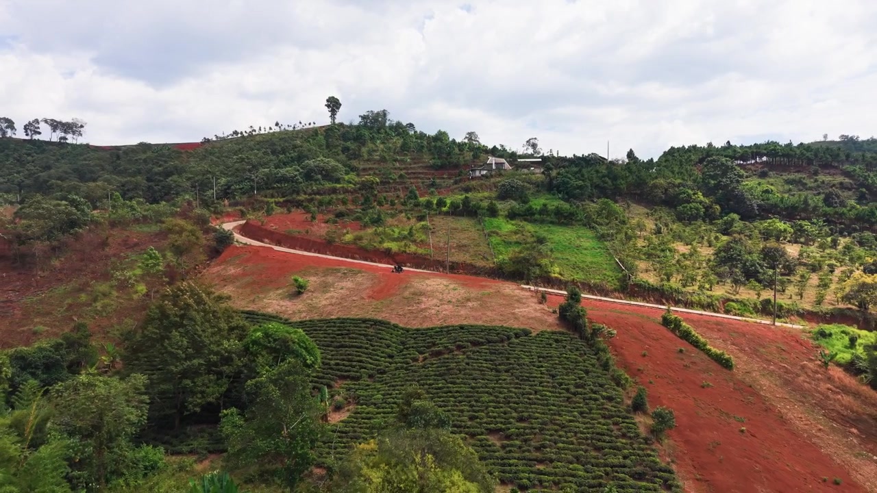 Verken het weelderige groene landschap van Loc Tan in Bao Lam, Lam Dong, Vietnam, bij helder daglicht.