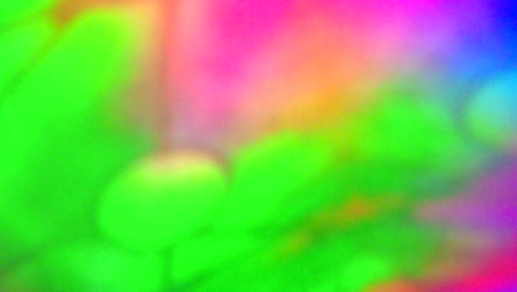 la paleta de colores