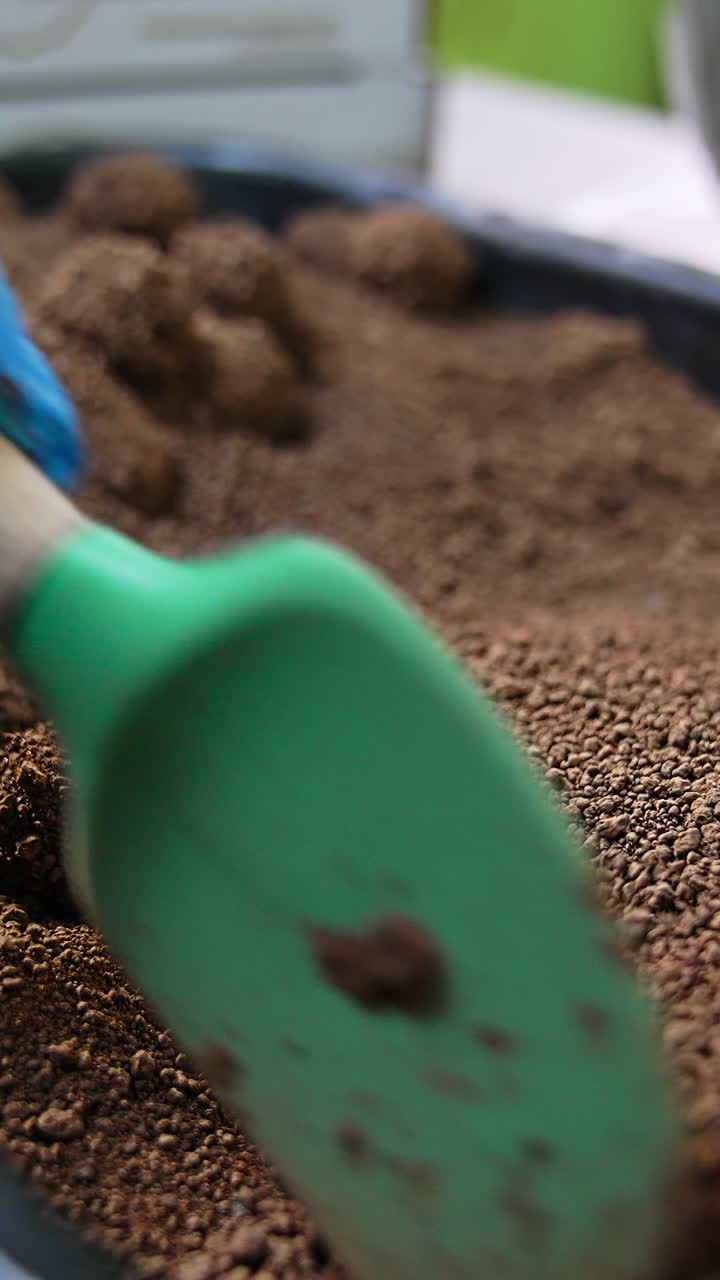 Preparazione di tartufi al cioccolato