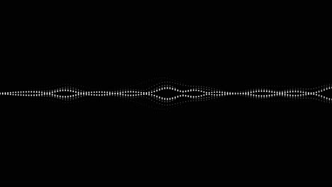 Un-Simple-Efecto-De-Visualización-De-Audio-En-Blanco-Y-Negro-22