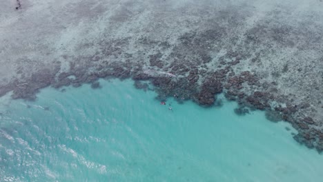 vista de un dron de un grupo de personas buceando en medio de arrecifes de coral del caribe