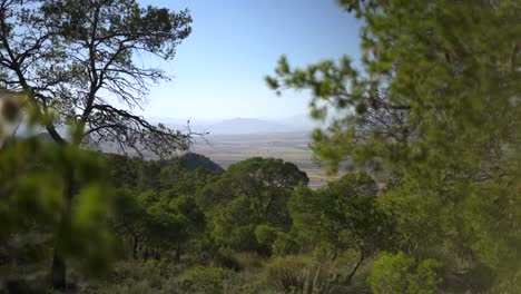 brisa de verano soplando árboles, valle de la montaña de jumilla en españa, tiro deslizante