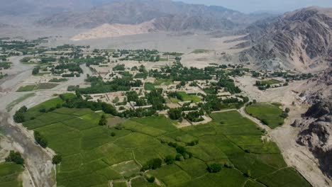 paisaje aéreo de las exuberantes tierras de cultivo verdes