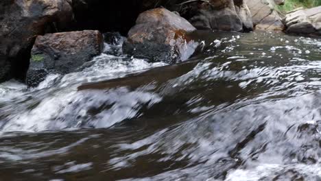 Small-stream-in-the-Grampians