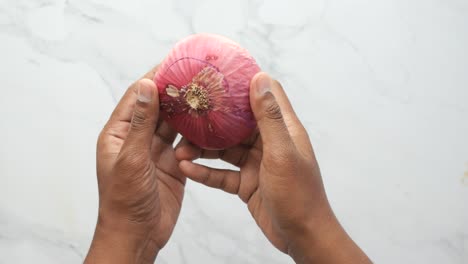 hands holding a fresh red onion