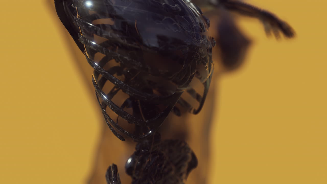 huesos esqueléticos brillantes de humanos