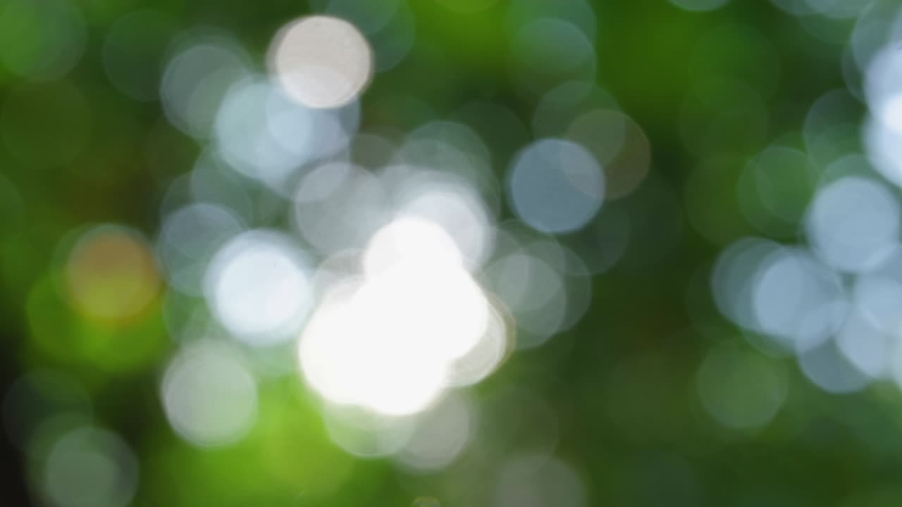 fondo abstracto de hoja verde borroso bokeh con luz del sol para el uso concepto de fondo de la naturaleza