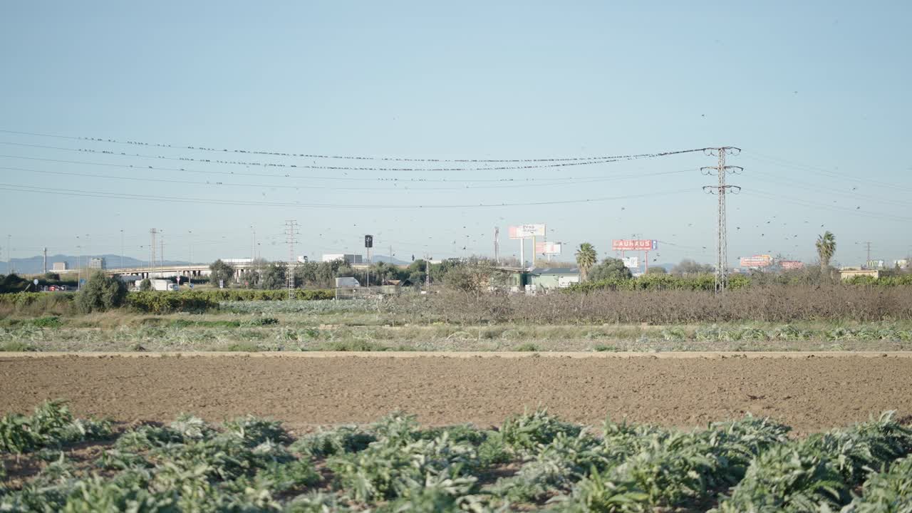Rural Landscape with Power Lines and Birds