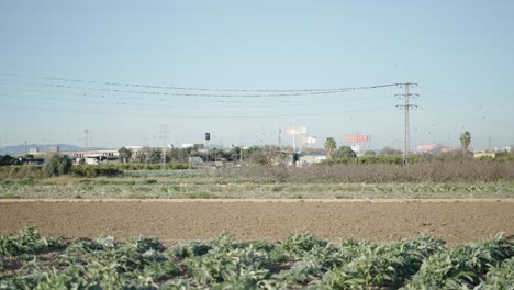 rural landscape with power lines and birds