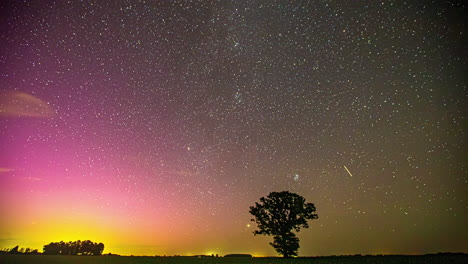 vibrant aurora and starry night sky over a lone tree