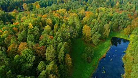 multicolor forest small wonderful nature lake aerial descend landscape