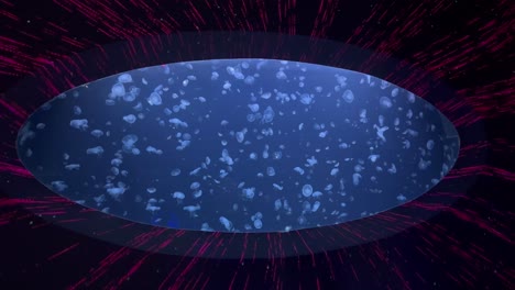 jellyfish in a bullet eye windows