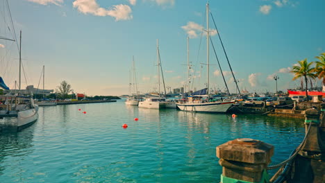 Panorama-Weitwinkelaufnahme-Von-Angedockten-Katamaranen-Und-Schiffen-Im-örtlichen-Hafen-Von-Port-Louis-Auf-Der-Insel-Mauritius