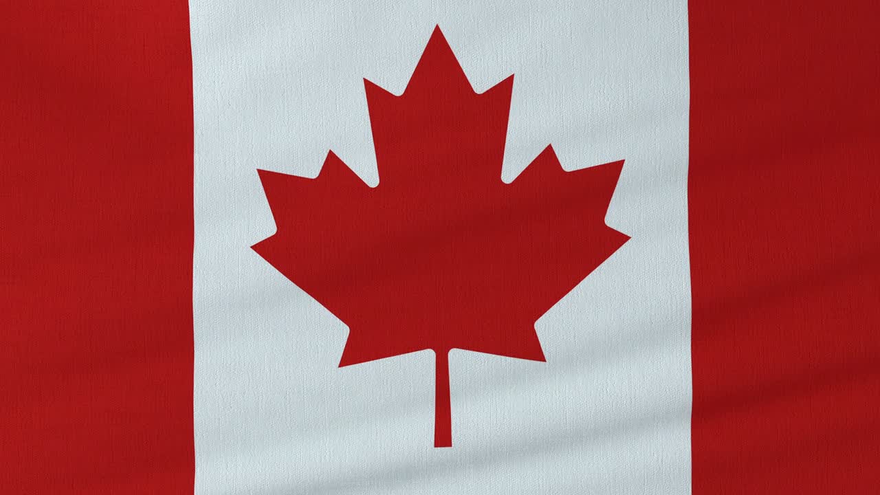 Waving Canada flag.