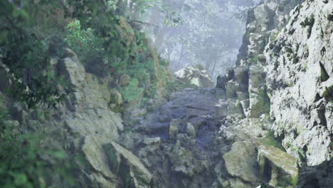 Misty Mountain Path Through Rocks