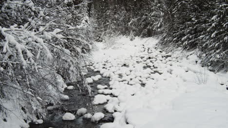 arroyo lleno de nieve y escarcha en los árboles en el parque provincial de kokanee creek en columbia británica en invierno