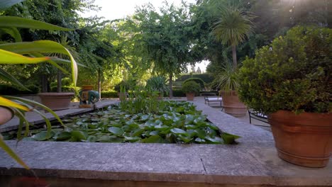 plane close to the ground and which advances in a beautiful outdoor courtyard with a pond and water lilies, plants in terracotta pots, benches, a sunbeam and trees all around