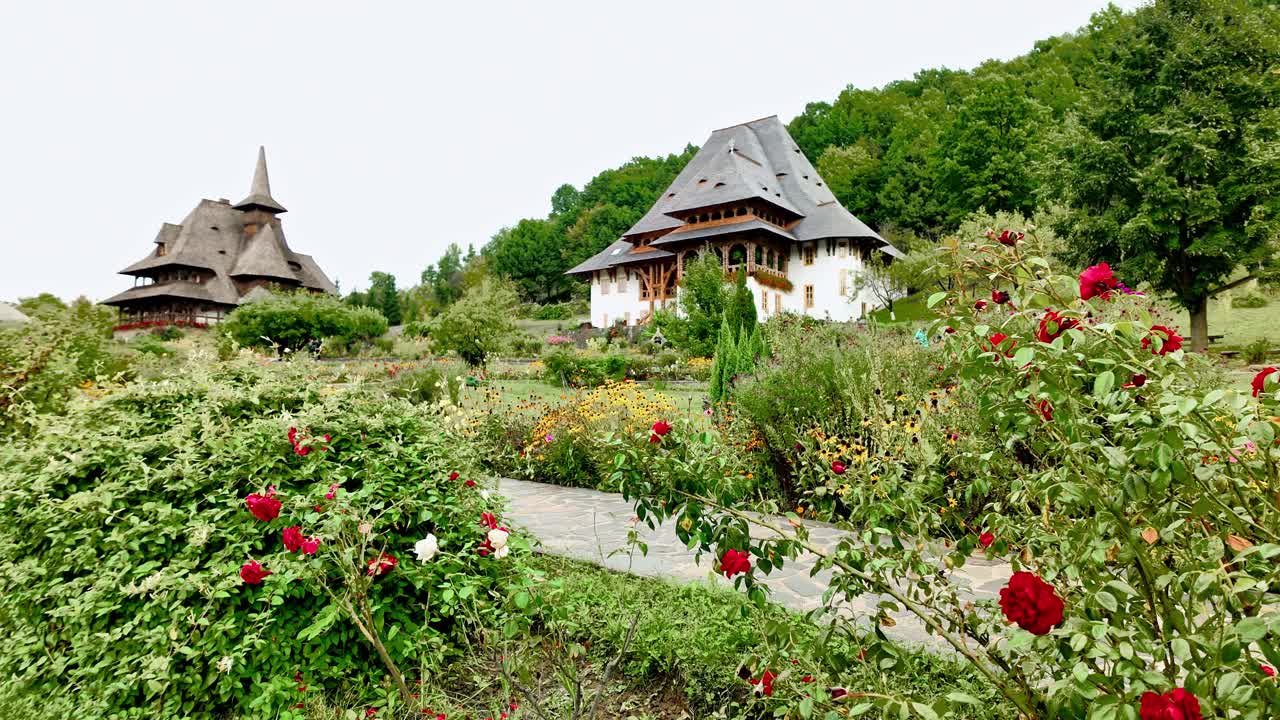 Roses bloom in monastic gardens of Barsana church complex Maramures