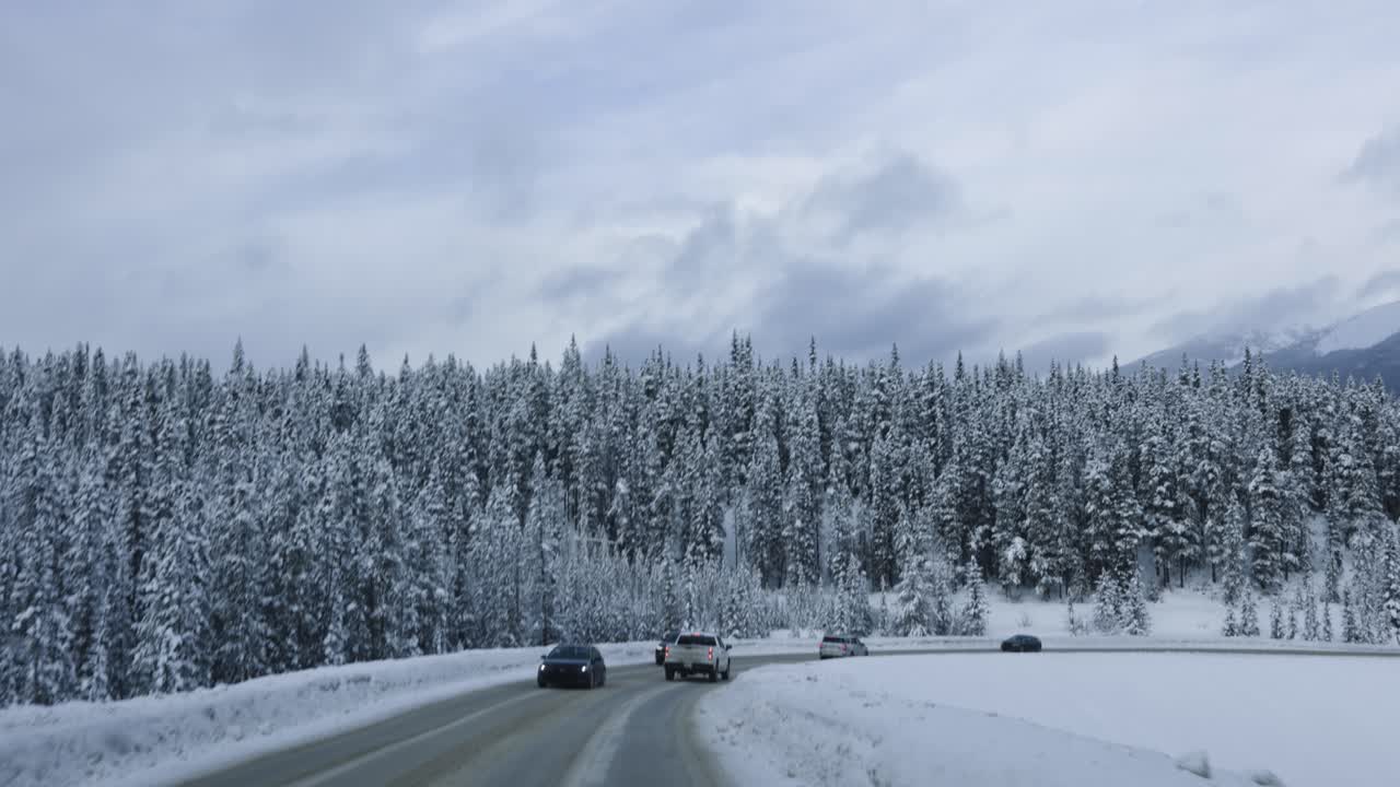 camino ventoso nevado escénico en banff, alberta 4k