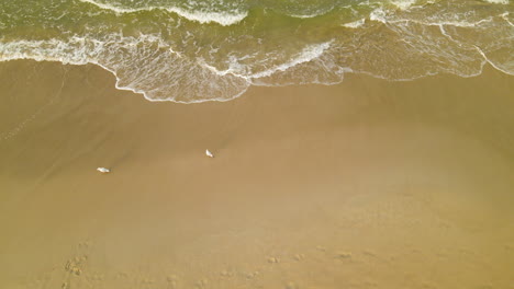 White-Birds-At-Shoreline-With-Splashing-Sea-Waves-In-Wladyslawowo,-Northern-Poland-During-Summer