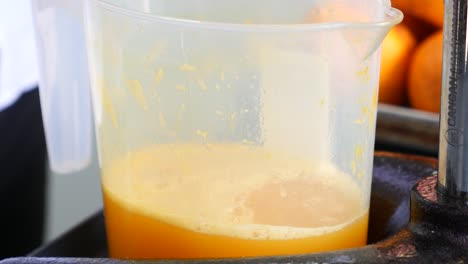 fresh orange juice