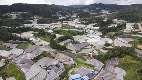 general landscape view of the brinchang district within the cameron highlands area of malaysia