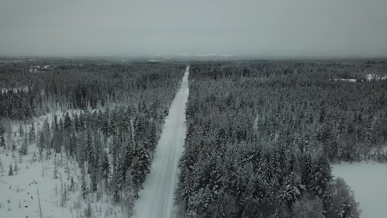 Strada bianca deserta e solitaria coperta di neve che attraversa una pineta, in inverno, ripresa aerea in dolly.