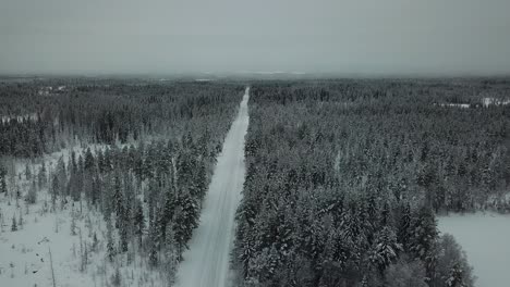 Empty-lonely-snow-covered-white-road-cuts-through-pine-forest,-winter-time,-aerial-dolly