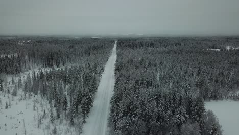 Carretera-Blanca-Vacía-Y-Solitaria-Cubierta-De-Nieve-Que-Atraviesa-Un-Bosque-De-Pinos,-Invierno,-Muñeca-Aérea