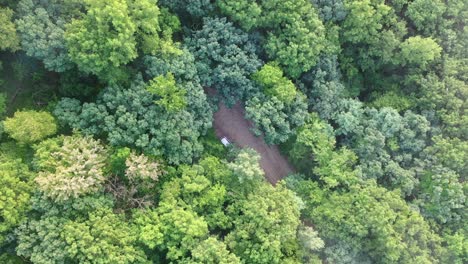 aerial view of a car on a forest road